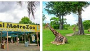 Miami Zoo, Florida