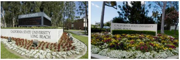 California State University Long Beach Review (19)