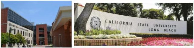 California State University Long Beach Review (2)