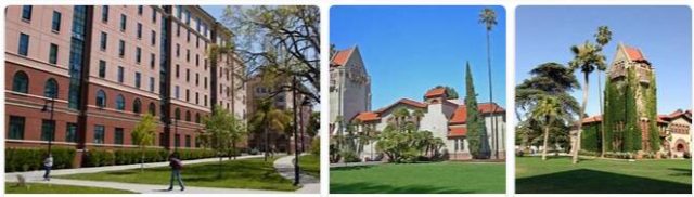 San Jose State University Review (7)
