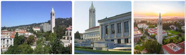 University of California Berkeley Review (11)