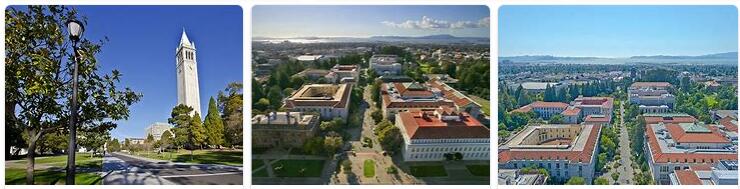 University of California Berkeley Review (15)