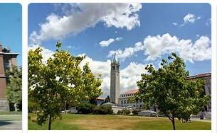 University of California Berkeley Review (17)