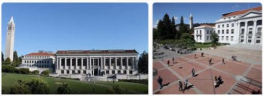 University of California Berkeley Review (23)