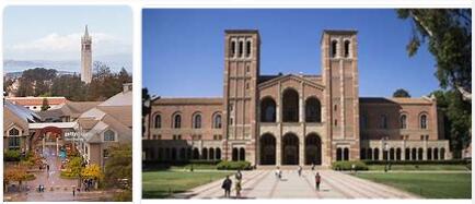 University of California Berkeley Review (41)
