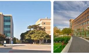 University of California Irvine Review (3)