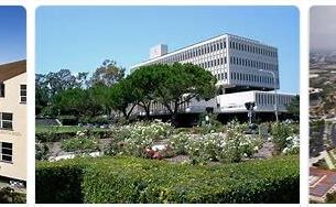 University of California Irvine Review (4)