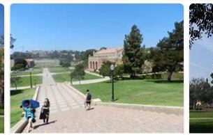 University of California Los Angeles Review (25)
