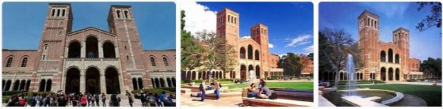 University of California Los Angeles Review (7)