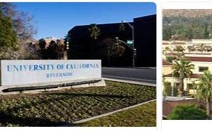University of California Riverside Review (25)