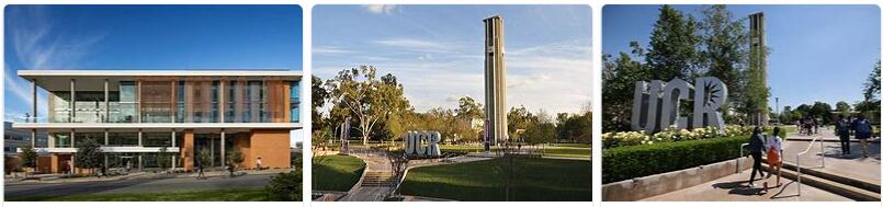University of California Riverside Review (6)