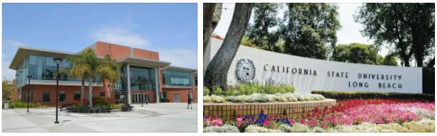 California State University Long Beach Review (3)