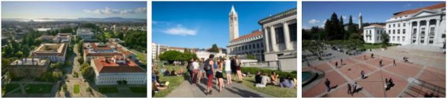 University of California Berkeley Review (4)