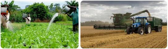 Botswana Agriculture